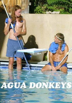 Agua Donkeys (2020)