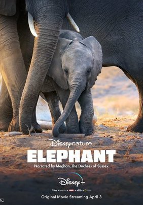 Elephant (2020)