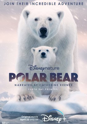 Polar Bear (2022)