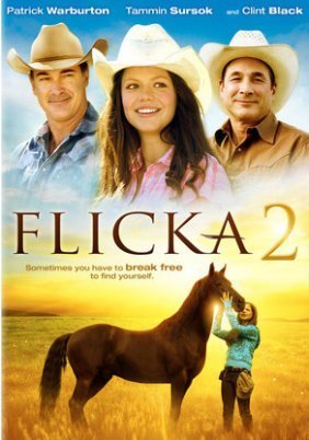 Flicka 2 (2010)