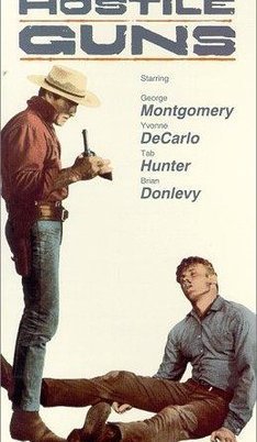 Hostile Guns (1967)