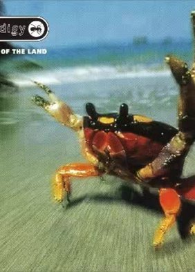 Prodigy-The Fat of the Land (Remixed)