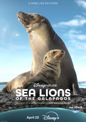 Sea Lions of the Galapagos / Θαλάσσια Λιοντάρια στα Νησιά Γκαλαπάγκος (2025)