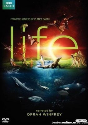 Life/Ζωή (2010)