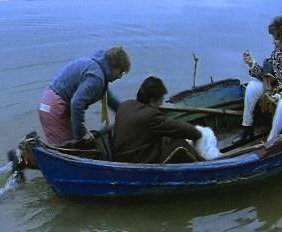 Η κοιλιά της μέλισσας / The belly of the bee (2001)