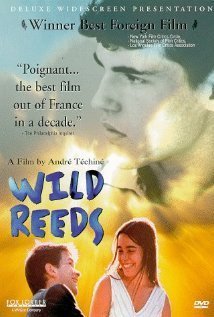 Les roseaux sauvages (Wild Reeds) (1994)