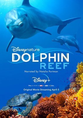 Dolphin Reef (2020)