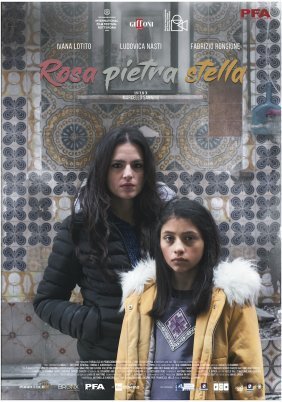 Rosa pietra stella (2020)