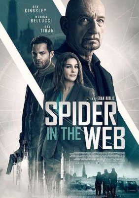 Δίκτυο Κατασκόπων / Spider in the Web (2019)