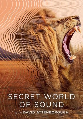Secret World of Sound with David Attenborough (2024)
