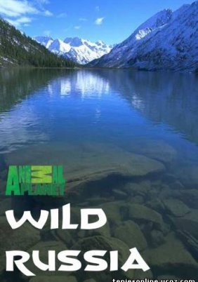 Wild Russia - Caucasus / Καύκασος (2008)