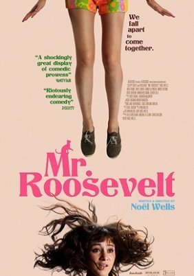 Mr. Roosevelt (2017)