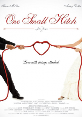 One Small Hitch (2013)