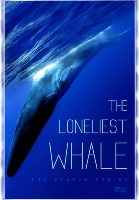 The Loneliest Whale: The Search for 52 (2021)