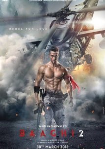 Baaghi 2 (2018)
