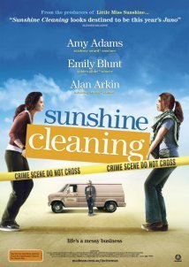Sunshine Cleaning (2008)