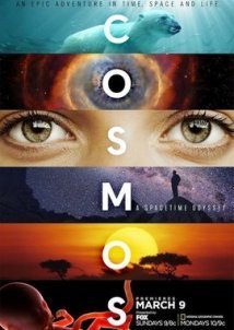 Cosmos: A Spacetime Odyssey (2014)