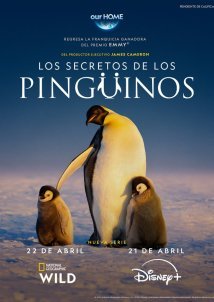 Secrets of the Penguins (2025)