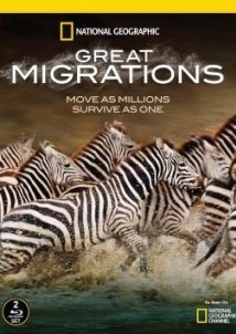 Απιστευτα Ταξιδια Ζωων / Great Migrations (2010)