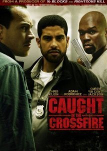 Caught in the Crossfire (2010)