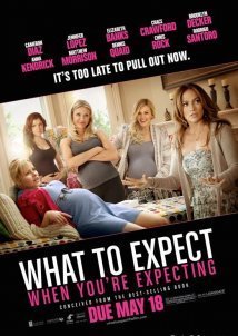 What to Expect When You're Expecting (2012)