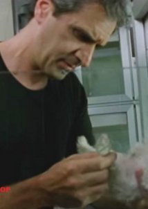 Pet Shop / Κατάστημα ζώων (2012) Short