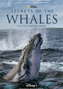 Secrets of the Whales (2021)