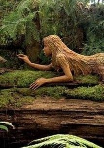 Η μυστική ζωή των φυτών.