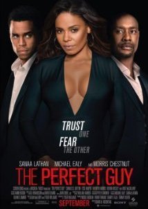 The Perfect Guy (2015)