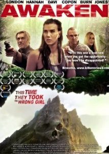 Awaken / A Perfect Vacation (2015)