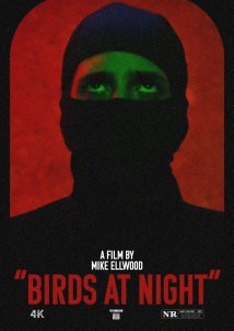 Birds at Night (2024)