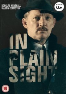 In Plain Sight (2016)