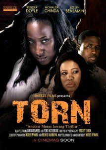 Torn (2013)