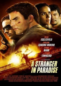 A Stranger in Paradise (2013)