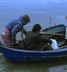 Η κοιλιά της μέλισσας / The belly of the bee (2001)