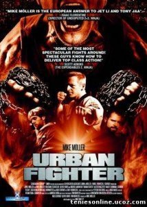 Urban Fighter / Arena of the Street Fighter (2013)