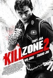 Kill Zone 2 (2015)