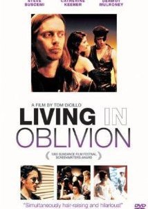 Living in Oblivion (1995)