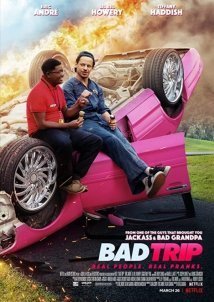 Bad Trip (2020)