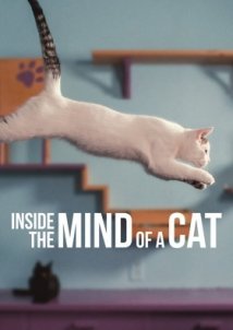 Inside the Mind of a Cat (2022)